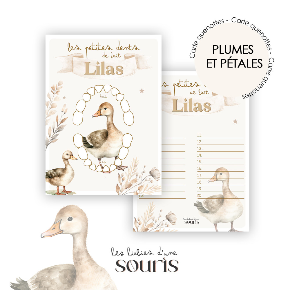 ★ Carte quenottes - Plumes et Pétales