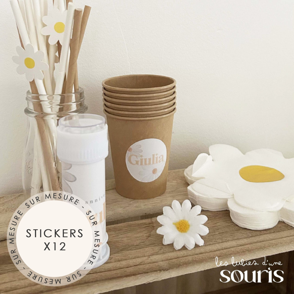 ★ Etiquettes autocollantes / Stickers (x12) - Thème personnalisable / Sur mesure