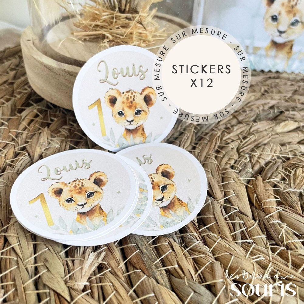 ★ Etiquettes autocollantes / Stickers (x12) - Thème personnalisable / Sur mesure