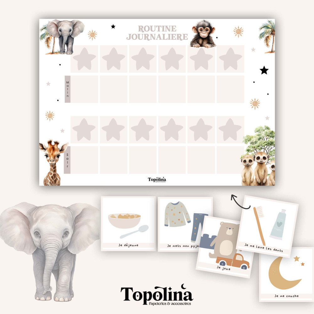 ★ Routine journalière / Jungle