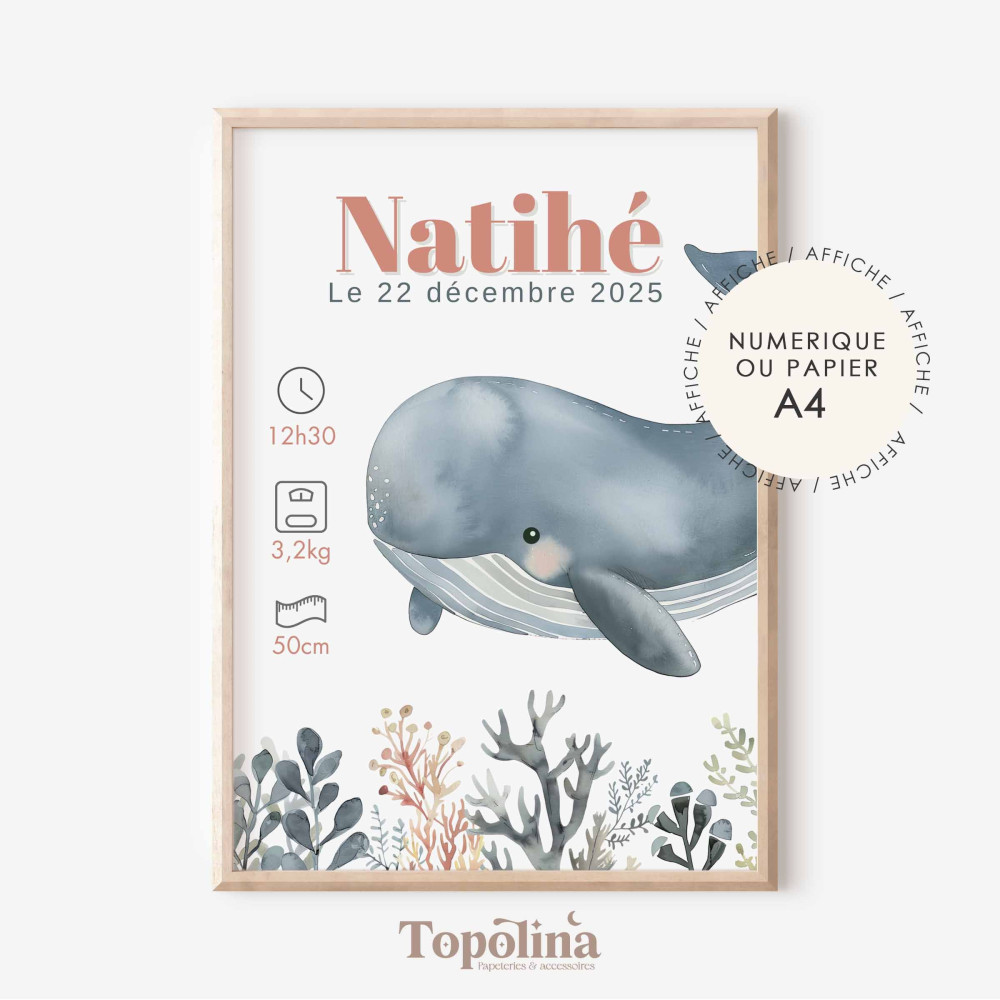 Affiche de naissance otarie – Décoration chambre bébé thème marin