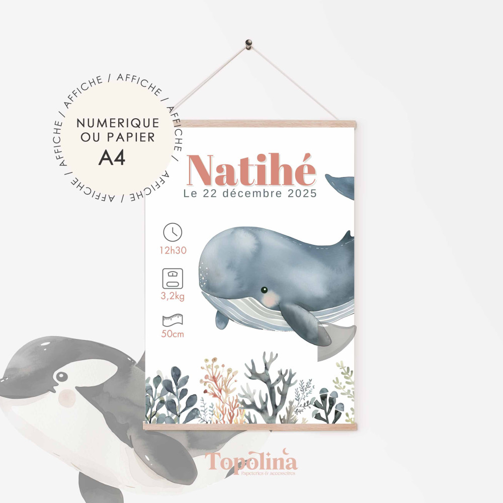 Affiche de naissance otarie – Décoration chambre bébé thème marin