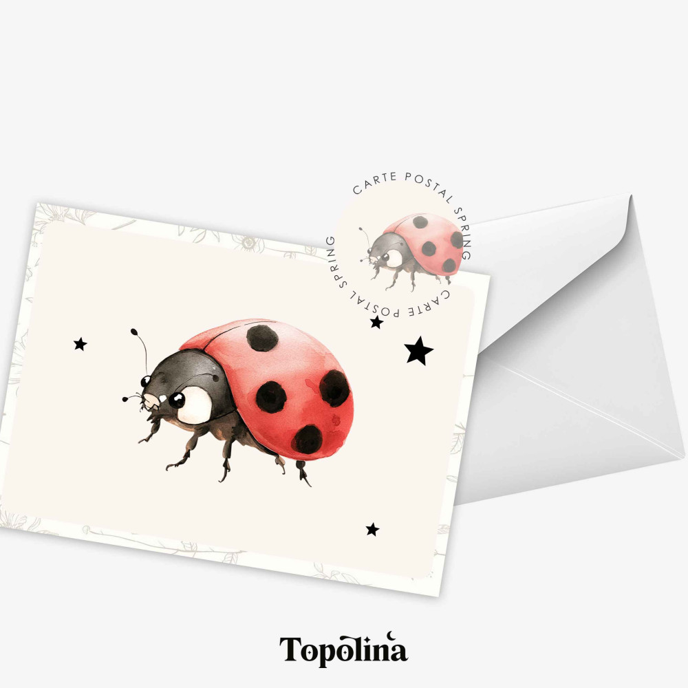 Carte postale coccinelle – Carte printemps illustrée – Papeterie douce et poétique